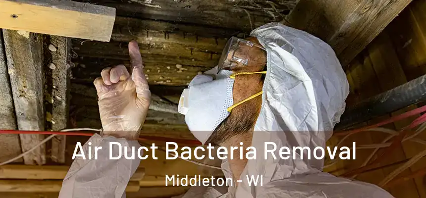 Air Duct Bacteria Removal Middleton - WI