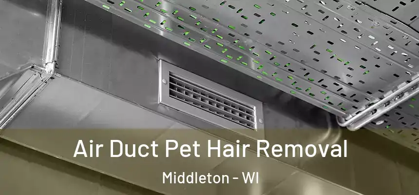 Air Duct Pet Hair Removal Middleton - WI