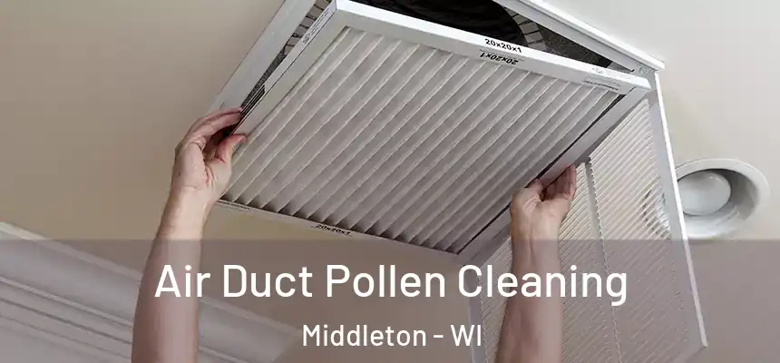 Air Duct Pollen Cleaning Middleton - WI