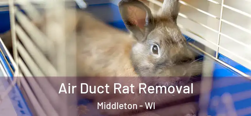  Air Duct Rat Removal Middleton - WI
