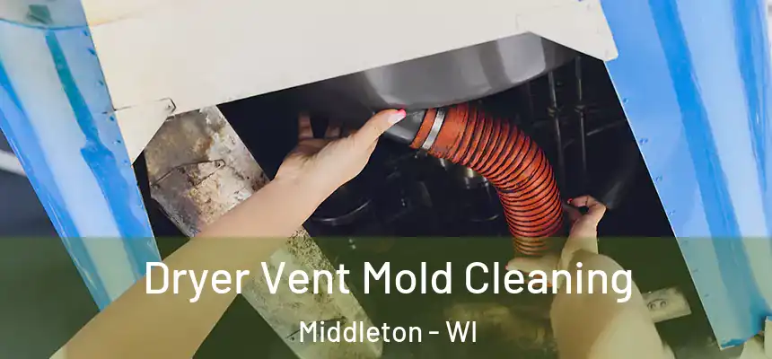 Dryer Vent Mold Cleaning Middleton - WI