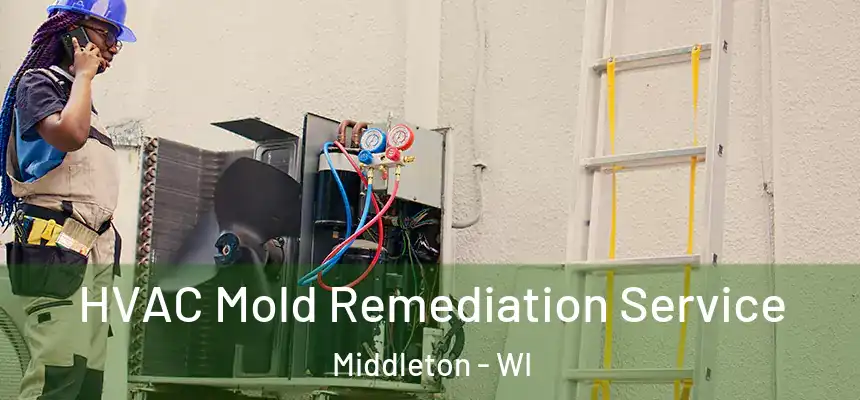 HVAC Mold Remediation Service Middleton - WI