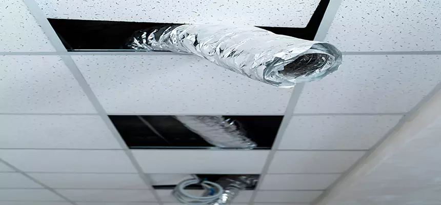 Affordable HVAC Sanitizing After Pest Removal in Middleton