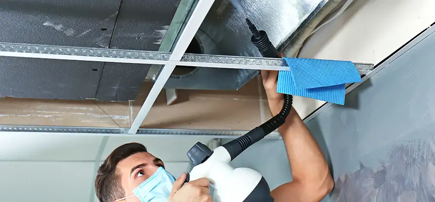 Our Air Duct Rodent Removal Services in Middleton, WI