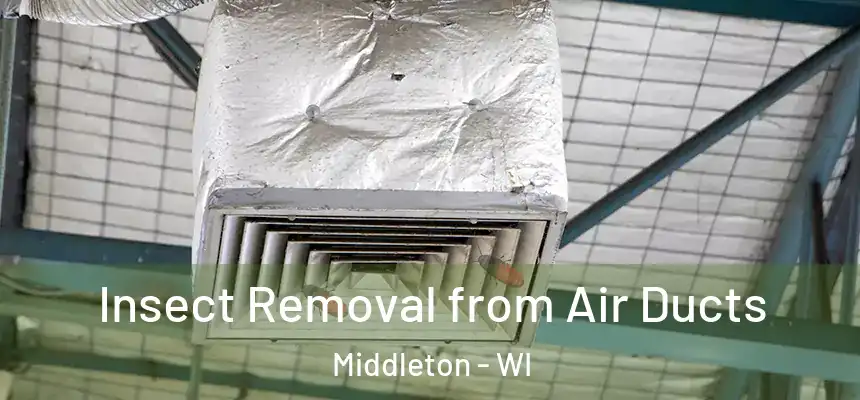 Insect Removal from Air Ducts Middleton - WI