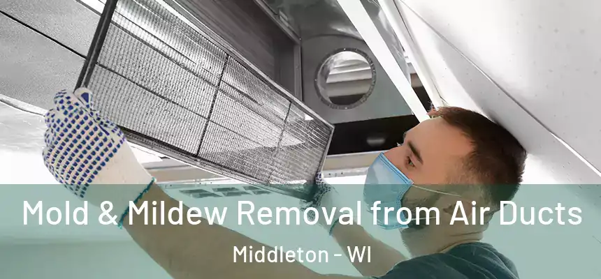 Mold & Mildew Removal from Air Ducts Middleton - WI