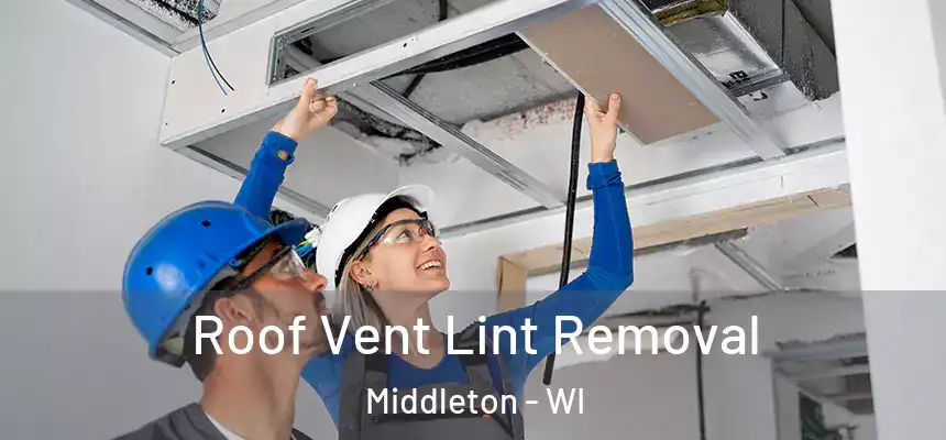 Roof Vent Lint Removal Middleton - WI