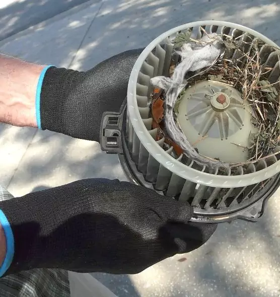 About Air Duct Mice Removal in Middleton, WI