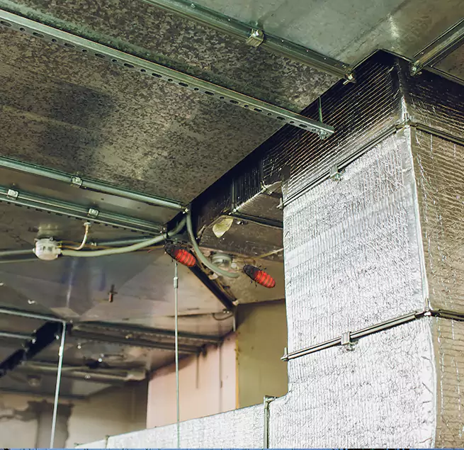 Why Homeowners & Businesses Trust Us in Middleton, WI?