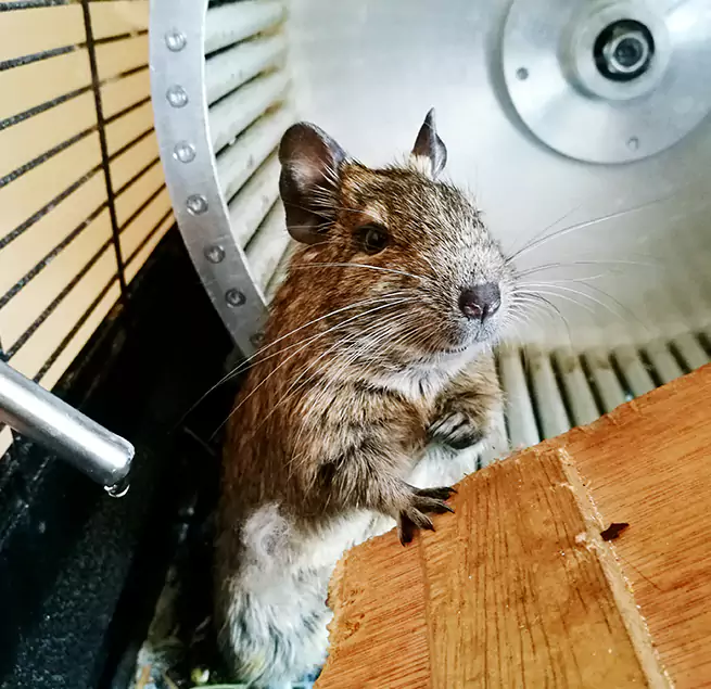 Why Homeowners & Businesses Trust Us Middleton, WI